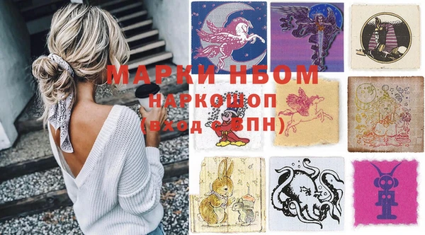 хмурый Осинники