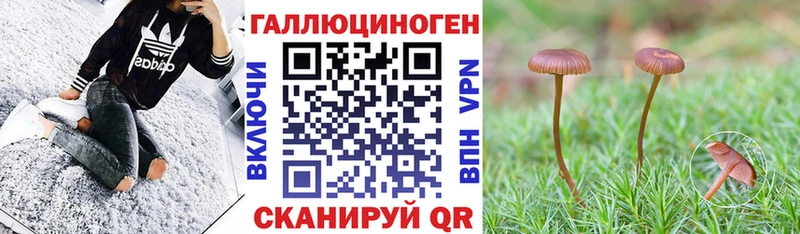 Псилоцибиновые грибы GOLDEN TEACHER  Купить закладки  Игра 