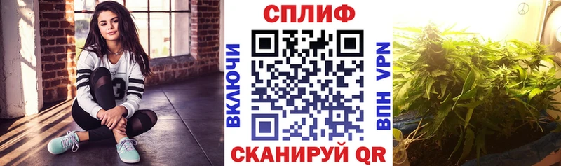 Шишки марихуана сатива  Купить  Игра 